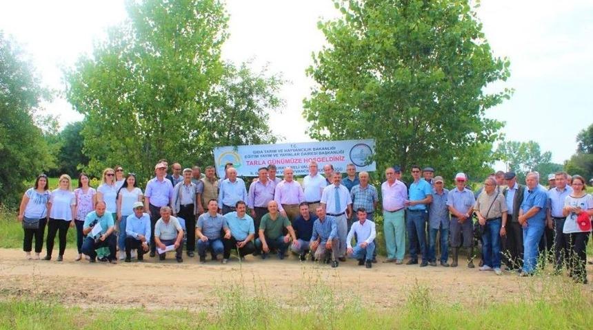 Kırklareli&rsquo;nde Tarla G&uuml;nleri
