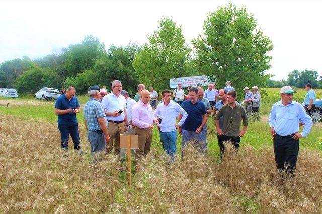 Kırklareli’nde Tarla Günleri