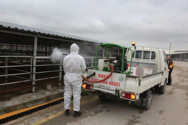 Şap Hastalığı Nedeniyle Hayvan Pazarları Kapatıldı 1