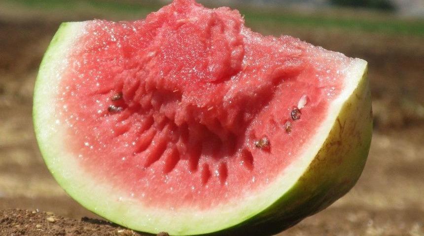 Araban Karpuzuna Yoğun Talep