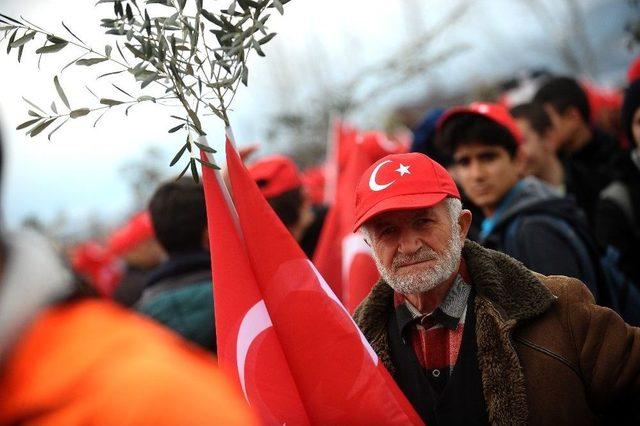 Zeytin Diyarından ’zeytin Dalı Harekâtı’na Tam Destek