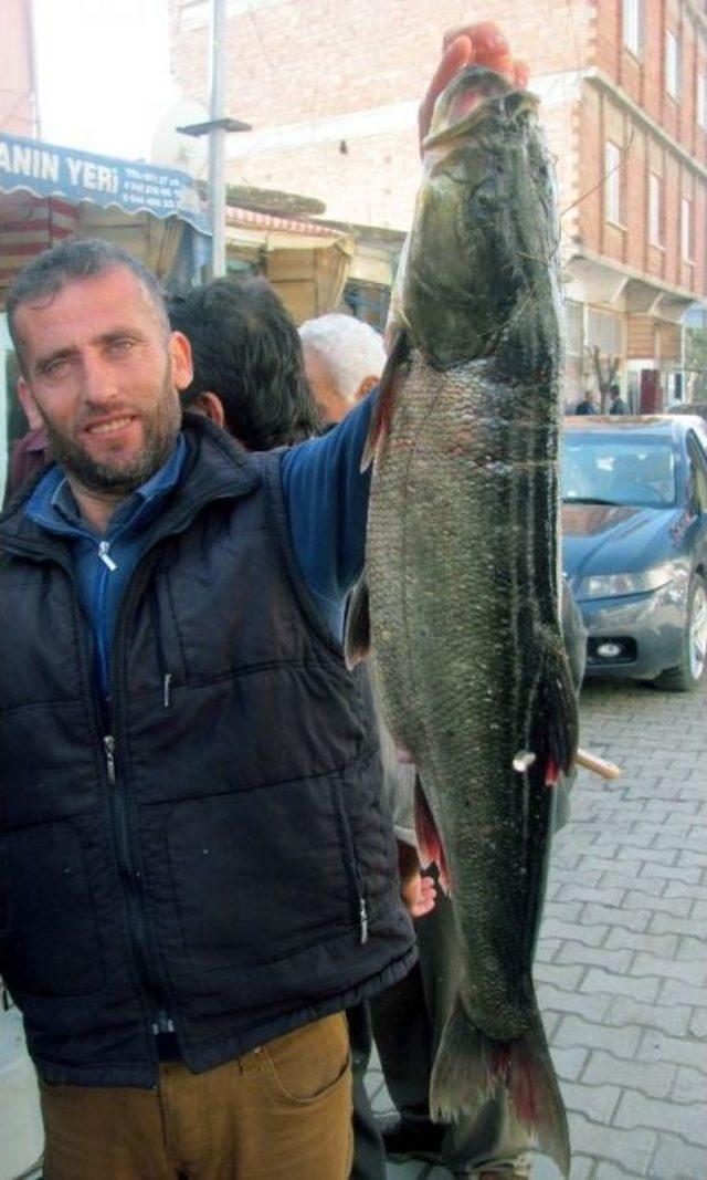 Arabanlıların Balık İhtiyacı Fırat’tan Karşılanıyor