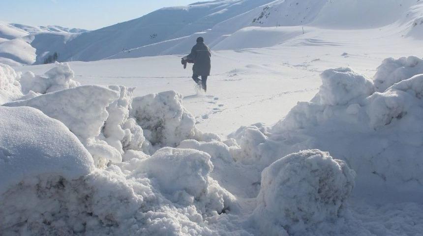 Yaban Hayvanlarını Unutmadılar