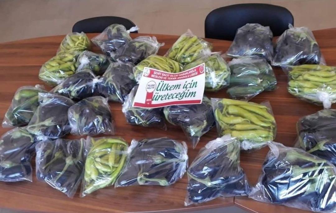 Lise &Ouml;ğrencileri, Bah&ccedil;eye Sera Kurup &Uuml;rettiklerini Paylaştı