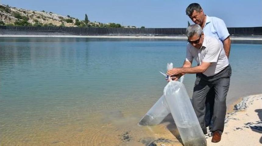 Su Kaynaklarının Balıklandırılması Projesi