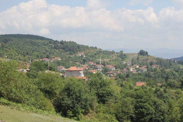 Kocaeli’de Kurban Bayramı Öncesi Şarbon Paniği