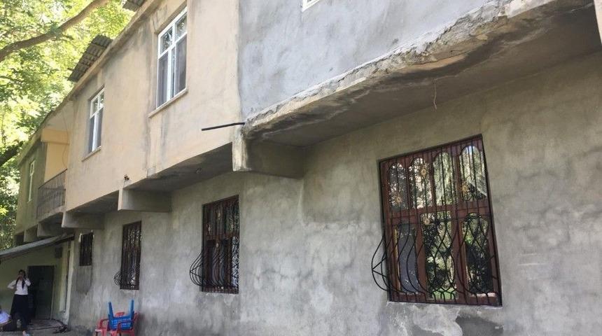 Yarasalar Evleri İstila Etti