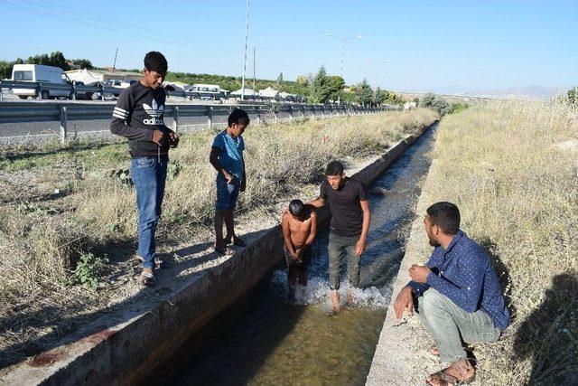 Kayısı Hasadında Çalışan Mevsimlik İşçilerin Çilesi