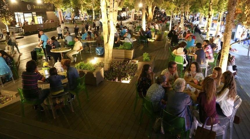 Gece-gündüz Yaşayan Bir Hamamyolu