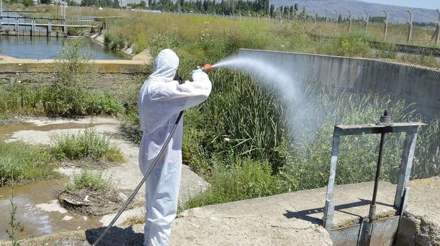 Kent Merkezi Ve Kırsal İlaçlanıyor