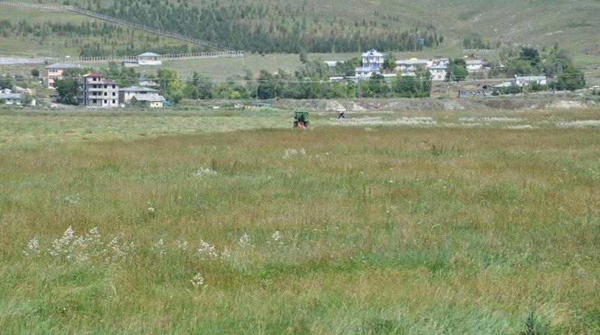 Kars&rsquo;ta &Ccedil;ift&ccedil;ilerin Ot Bi&ccedil;me Mesaisi Başladı