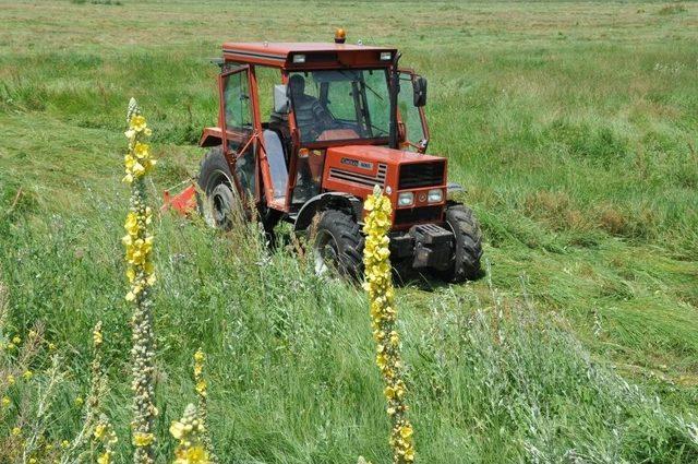 Kars&rsquo;ta &Ccedil;ift&ccedil;ilerin Ot Bi&ccedil;me Mesaisi Başladı 1