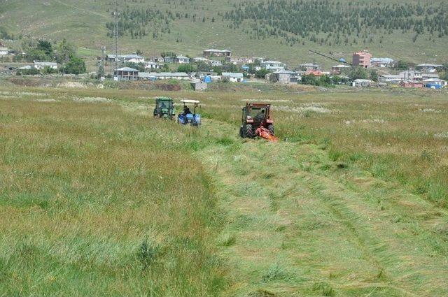Kars&rsquo;ta &Ccedil;ift&ccedil;ilerin Ot Bi&ccedil;me Mesaisi Başladı 3