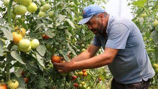 Manisa Büyükşehir’in Projesi Üreticiye Kazandırdı