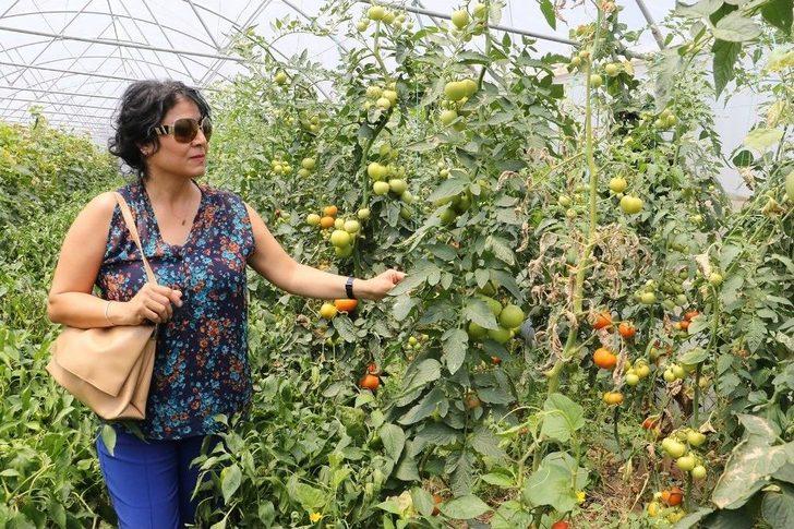 Manisa Büyükşehir’in Projesi Üreticiye Kazandırdı G1