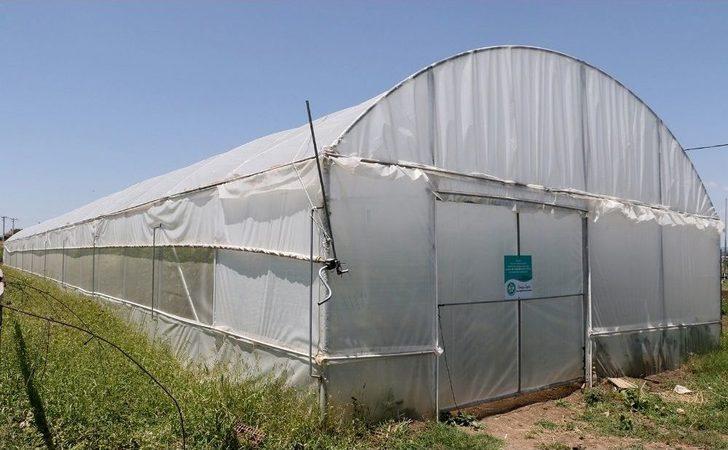 Manisa Büyükşehir’in Projesi Üreticiye Kazandırdı G4