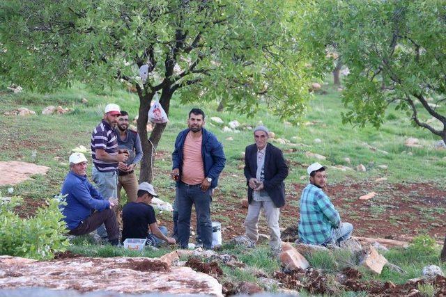 Siirt’te Sıcaklardan Bunalanlar Kale’ye Kaçtı