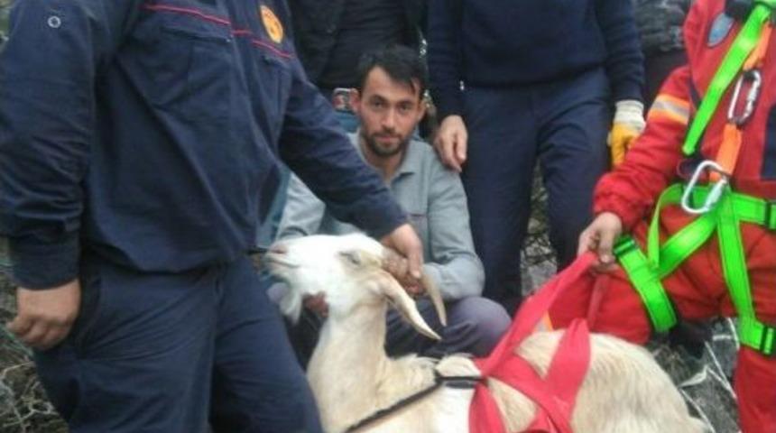 U&ccedil;urumda Mahsur Kalan Ke&ccedil;iyi İtfaiye Kurtardı