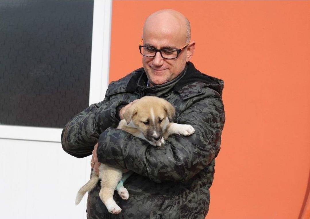 (&ouml;zel) Şans K&ouml;peği 700 Kilometre G&ouml;t&uuml;r&uuml;p Sağlığına Kavuşturdular