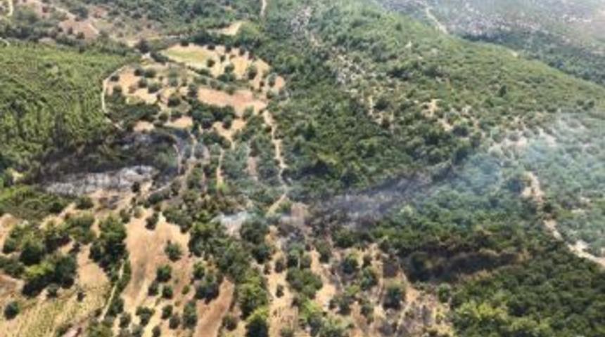 Manavgat&rsquo;ta Orman Yangını