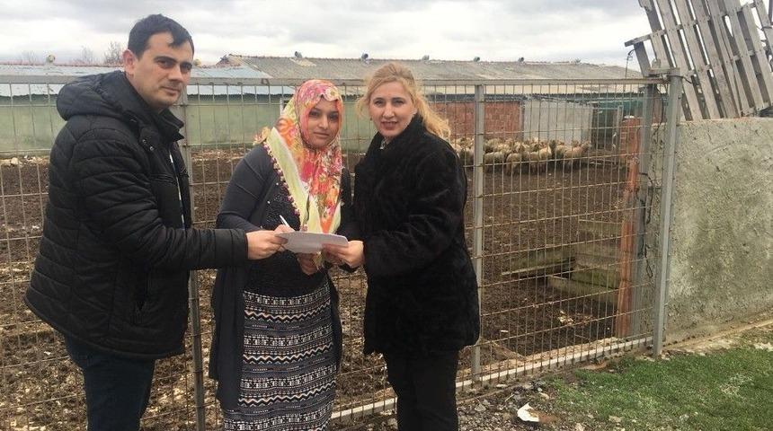 Gen&ccedil; &Ccedil;ift&ccedil;i Projesinde Tekirdağ&rsquo;a 4,53 Milyon Tl Hibe Desteği