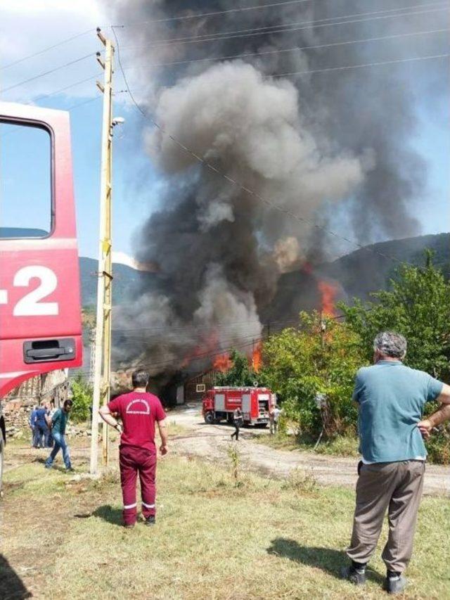 Eve Düşen Yıldırım, 30 Hanelik Köyü Yok Ediyordu