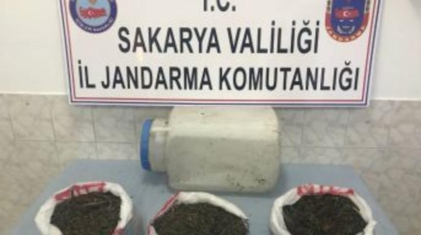 S&ouml;ğ&uuml;tl&uuml;&rsquo;de 2 Bin 647 Gram Kubar Esrar Ele Ge&ccedil;irildi