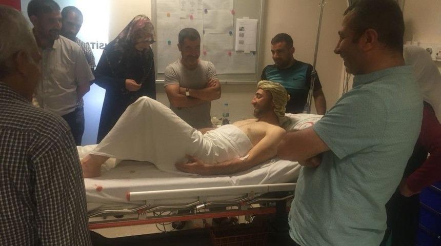 Piknikteki Vatandaşa Ayı Saldırdı