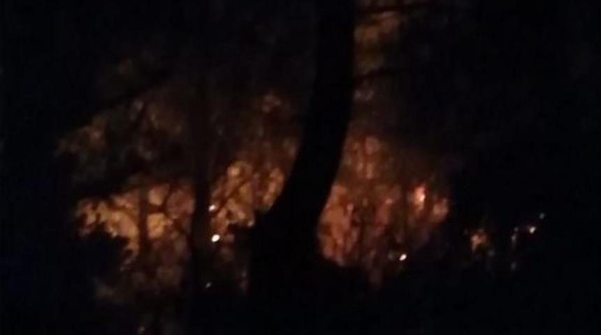 Marmaris&rsquo;te Orman Yangını