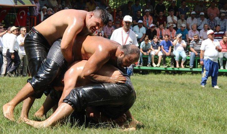 Kizildag guresleri Cingiz Zingan