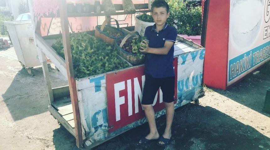 Yaş Fındığın Kilosu 15 Tl