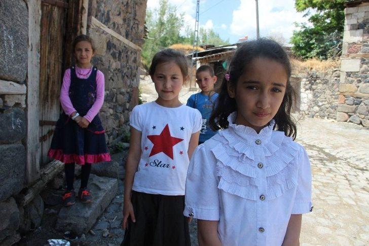 Erzurum’da Aynı Köyde İkinci Ayı Saldırısı G1