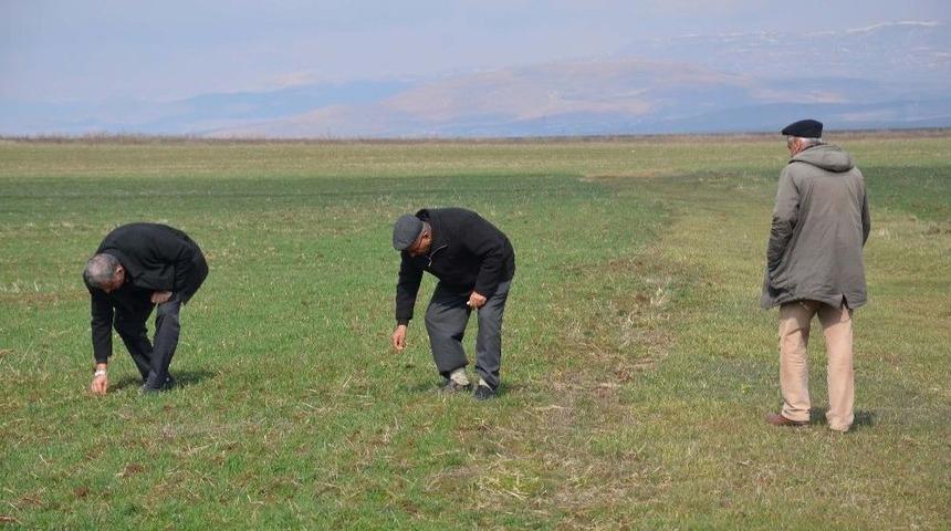 Mazot Desteği &Ccedil;ift&ccedil;ileri Sevindirdi