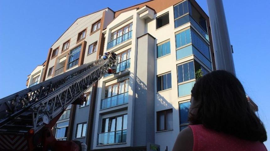 Fransız Tipi Balkonda Mahsur Kalan 2 G&uuml;vercin İtfaiye Ekiplerince Kurtarıldı