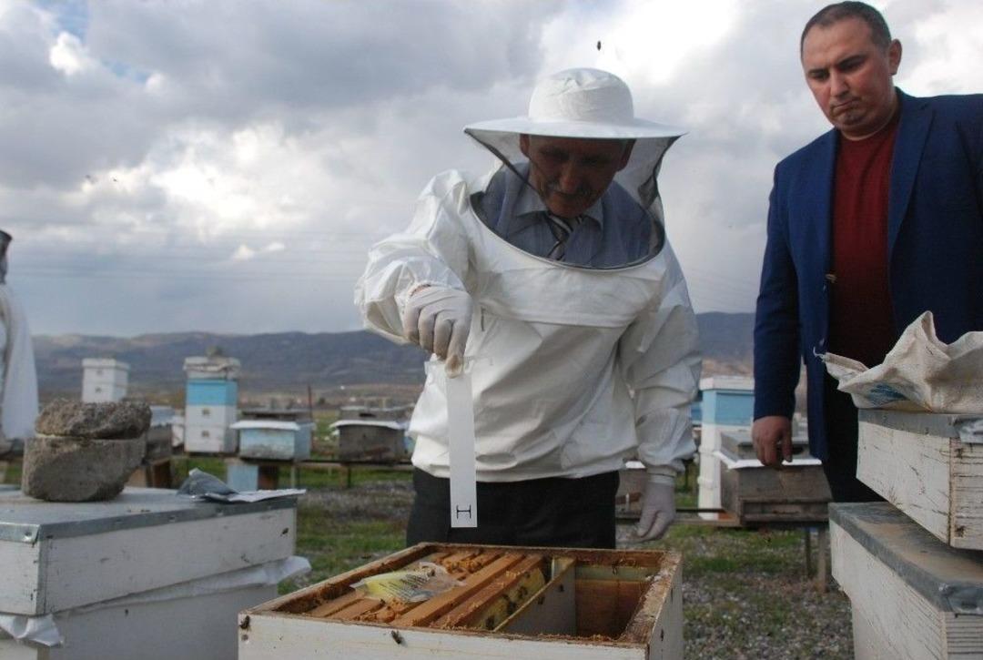 Arı Kenesi İle M&uuml;cadelede 40 Bin Kovan İla&ccedil;lanacak