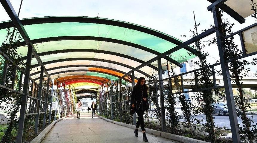 İzmir Rengarenk G&ouml;r&uuml;n&uuml;me Kavuşuyor