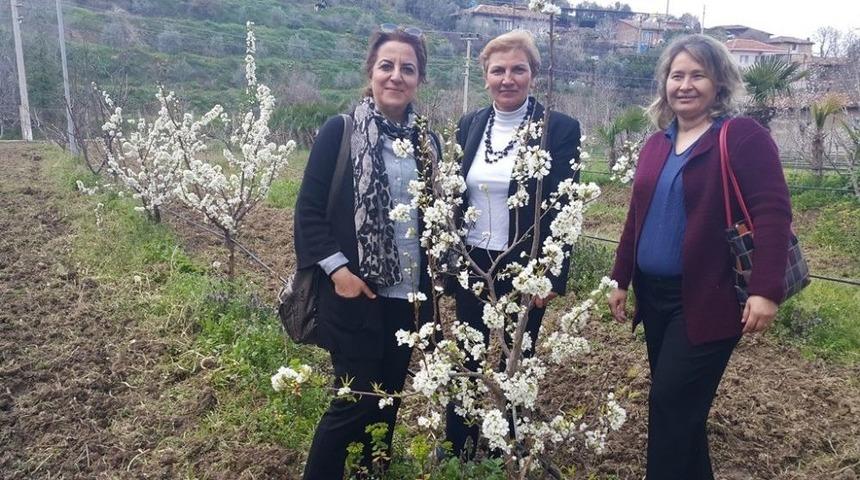 Bahar &Ccedil;i&ccedil;eklerle &rsquo;merhaba&rsquo; Dedi