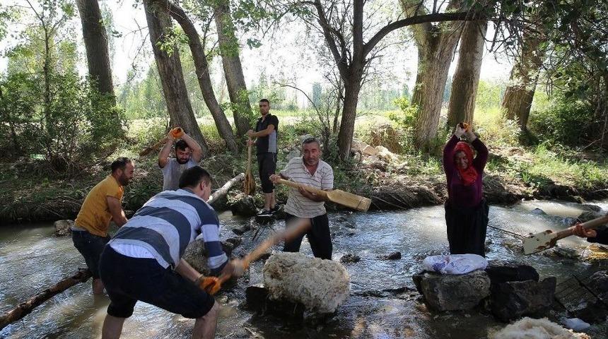 Başkan Çelik Yün Tokaçladı