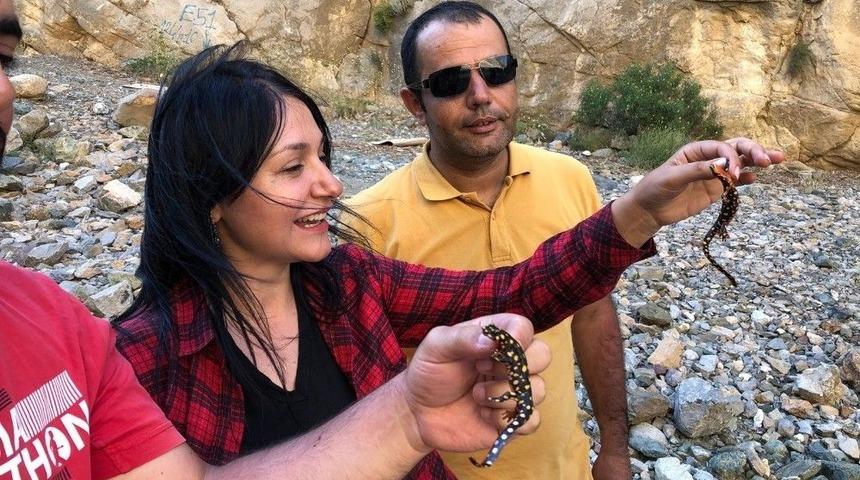 Hakkari’de Biyolojik Çeşitlilik Envanteri Çıkartılıyor