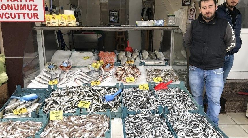 Batı Karadenizde Balık Fiyatları D&uuml;şt&uuml;