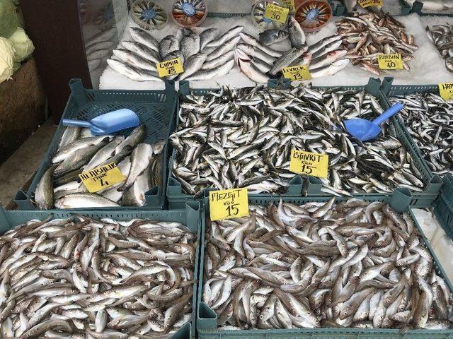 Batı Karadenizde Balık Fiyatları Düştü