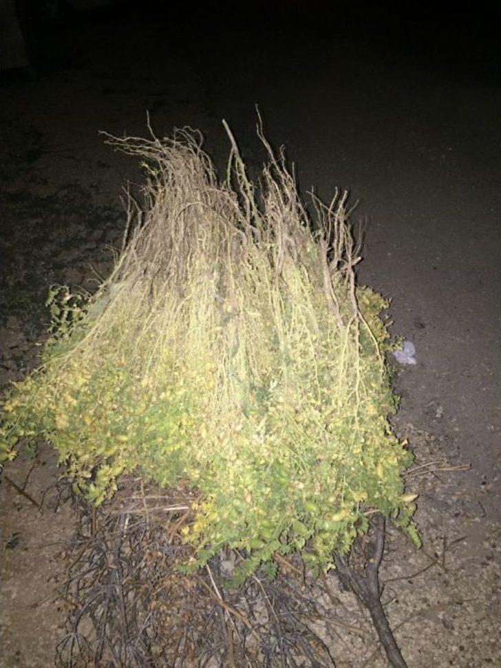 Asırlık Gelenek Tarih Oluyor G2