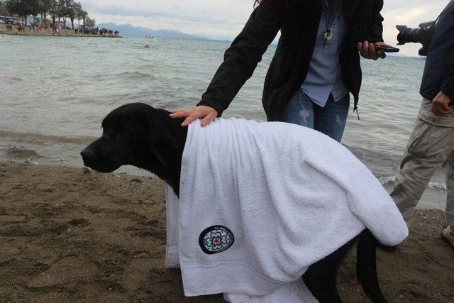 Karabaş Maratona Renk Kattı 2