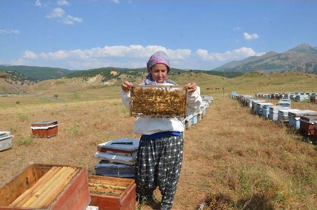 Arıcı Çift, Bal Üreterek Geçimlerini Sağlıyor