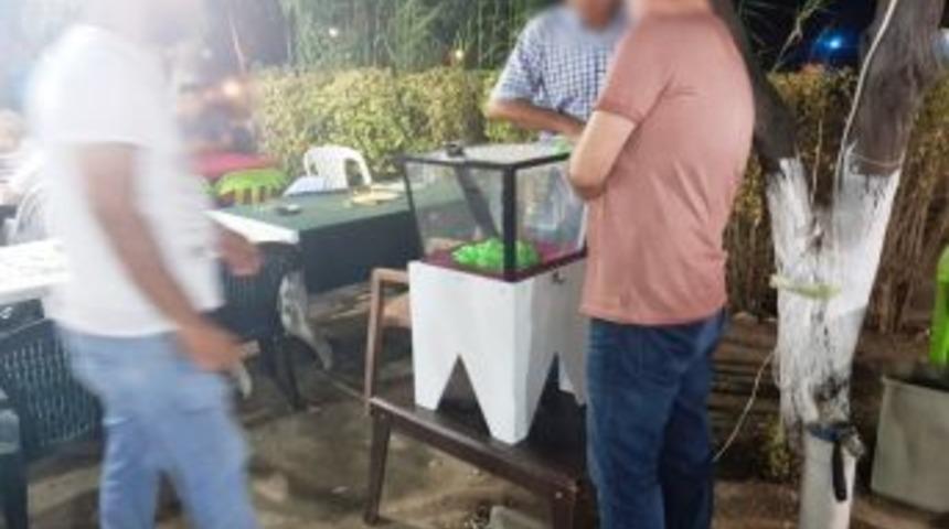 Kuşadası&rsquo;nda Siteye Kumar Baskını