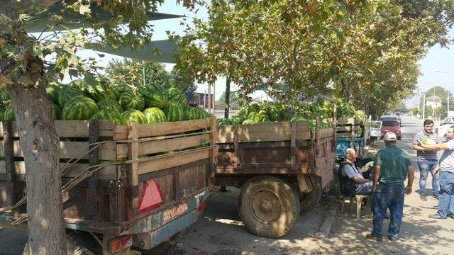 Ödemiş Karpuzunun Fiyatları Düşük, Üreticinin Morali Bozuk