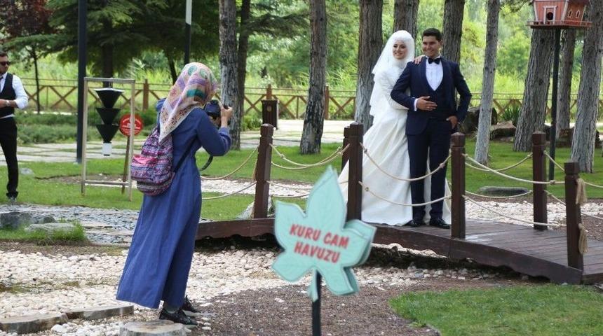 Odunpazarı&rsquo;nda Doğal Bir Fotoğraf St&uuml;dyosu: Botanik Park
