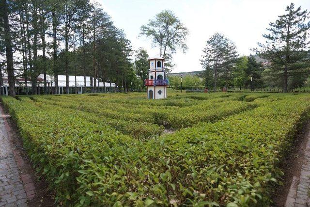 Odunpazarı’nda Doğal Bir Fotoğraf Stüdyosu: Botanik Park