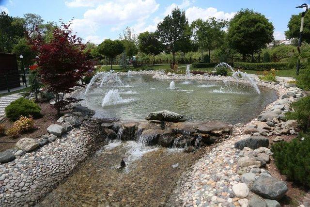 Odunpazarı’nda Doğal Bir Fotoğraf Stüdyosu: Botanik Park