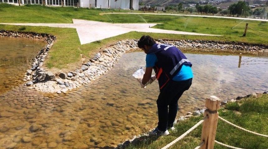 Haşereyle Mücadele Hız Kesmiyor